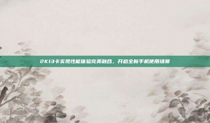 2K13卡实现性能体验完美融合,开启全新手机使用场景