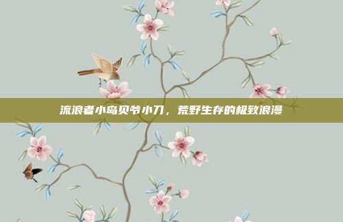 流浪者小岛贝爷小刀,荒野生存的极致浪漫