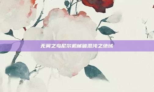 无翼之鸟尼尔机械破混沌之绝域