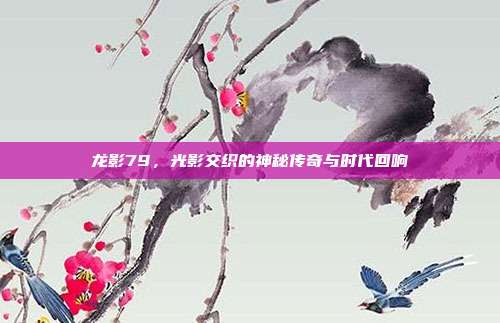 龙影79,光影交织的神秘传奇与时代回响