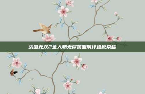 战国无双2全人物无尽策略演绎极致荣耀