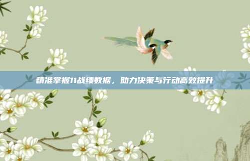 精准掌握11战绩数据,助力决策与行动高效提升
