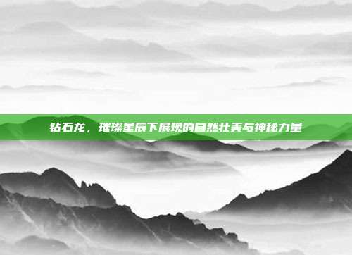 钻石龙,璀璨星辰下展现的自然壮美与神秘力量