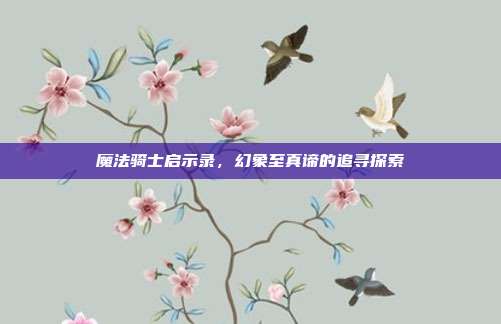 魔法骑士启示录,幻象至真谛的追寻探索