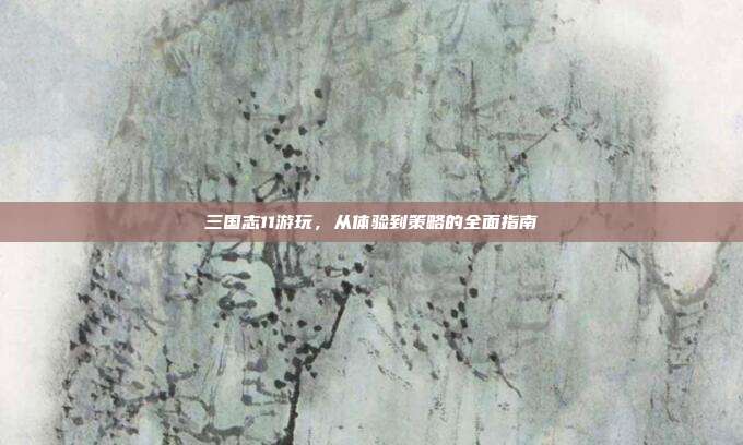 三国志11游玩,从体验到策略的全面指南