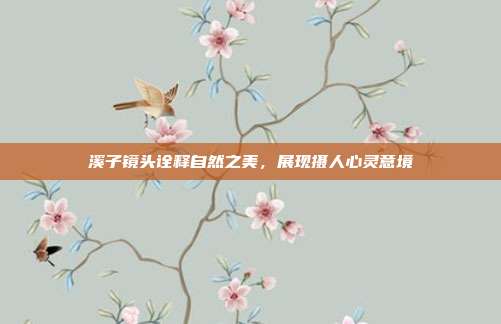溪子镜头诠释自然之美,展现摄人心灵意境