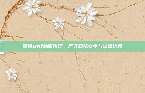 警惕DNf韩服代理,严守网络安全与法律边界