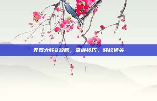 无双大蛇2攻略,掌握技巧,轻松通关