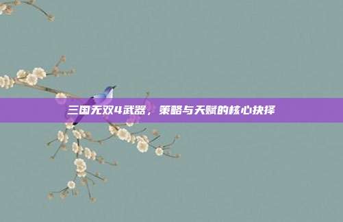 三国无双4武器,策略与天赋的核心抉择