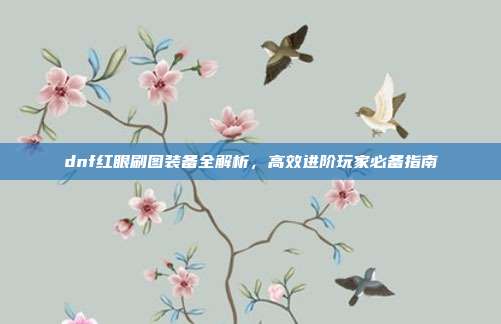 dnf红眼刷图装备全解析,高效进阶玩家必备指南