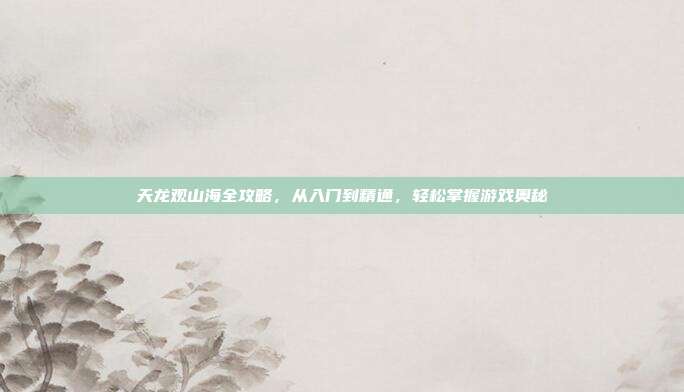 天龙观山海全攻略,从入门到精通,轻松掌握游戏奥秘