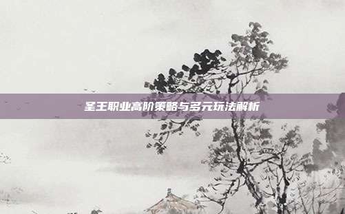 圣王职业高阶策略与多元玩法解析