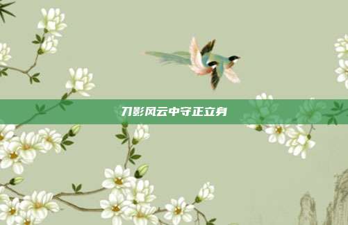 刀影风云中守正立身