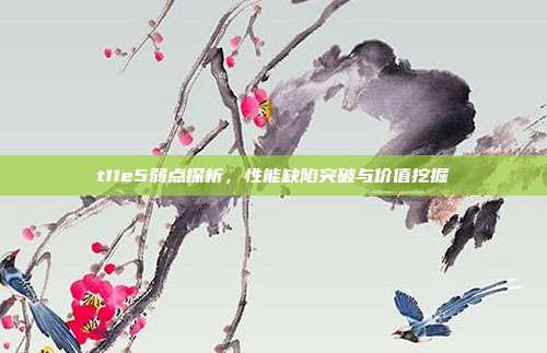 t11e5弱点探析,性能缺陷突破与价值挖掘
