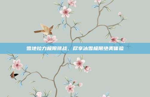 雪地拉力极限挑战,尽享冰雪极限绝美体验
