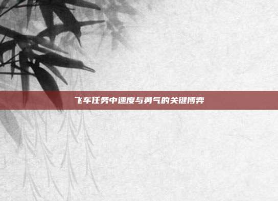 飞车任务中速度与勇气的关键博弈