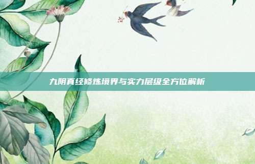 九阴真经修炼境界与实力层级全方位解析