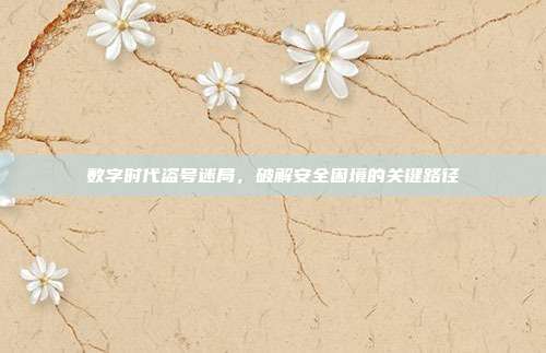 数字时代盗号迷局,破解安全困境的关键路径