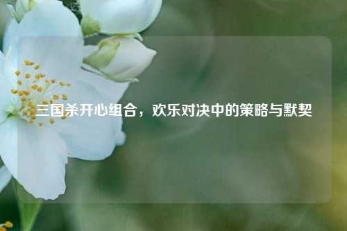 三国杀开心组合,欢乐对决中的策略与默契