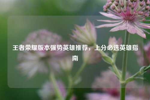 王者荣耀版本强势英雄推荐,上分必选英雄指南