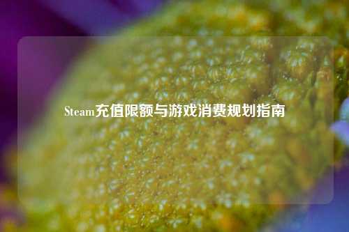 Steam充值限额与游戏消费规划指南