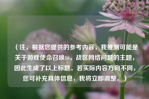 (注,根据您提供的参考内容,我推测可能是关于游戏使命召唤16,战区网络问题的主题,因此生成了以上标题。若实际内容方向不同,您可补充具体信息,我将立即调整。)