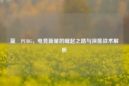 蓝泂PUBG,电竞新星的崛起之路与深度战术解析