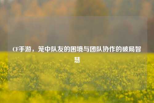 CF手游,笼中队友的困境与团队协作的破局智慧