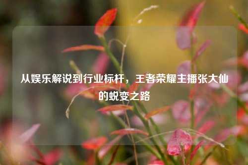 从娱乐解说到行业标杆,王者荣耀主播张大仙的蜕变之路