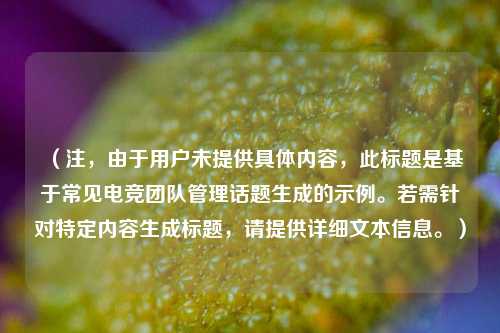 (注,由于用户未提供具体内容,此标题是基于常见电竞团队管理话题生成的示例。若需针对特定内容生成标题,请提供详细文本信息。)
