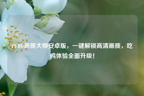 PUBG画质大师安卓版,一键解锁高清画质,吃鸡体验全面升级!