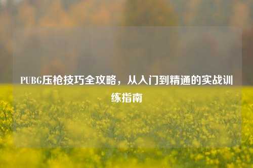 PUBG压枪技巧全攻略,从入门到精通的实战训练指南