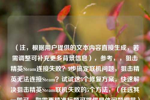 (注,根据用户提供的文本内容直接生成,若需调整可补充更多背景信息),参考,,狙击精英Steam连接失败?5步搞定联机问题,狙击精英无法连接Steam?试试这5个修复方案,快速解决狙击精英Steam联机失败的5个方法,(任选其一即可,如需更精准标题可提供具体问题细节)