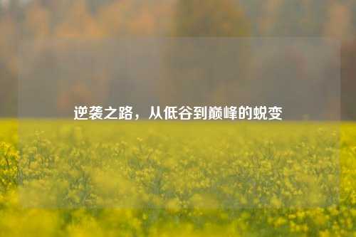 逆袭之路,从低谷到巅峰的蜕变