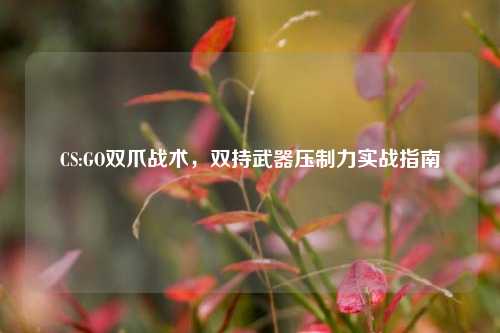 CS:GO双爪战术,双持武器压制力实战指南