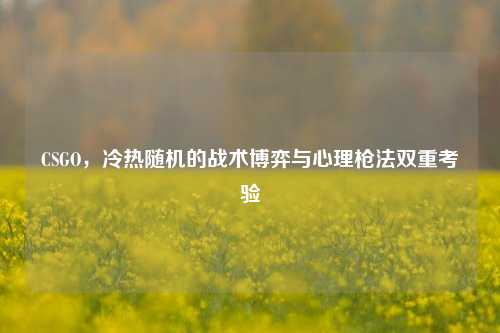CSGO,冷热随机的战术博弈与心理枪法双重考验