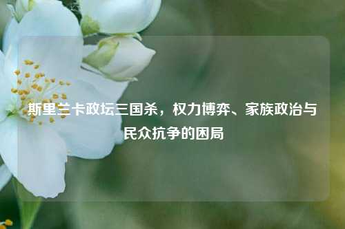 斯里兰卡政坛三国杀,权力博弈、家族政治与民众抗争的困局