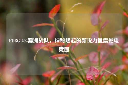 PUBG 404澳洲战队,神秘崛起的新锐力量震撼电竞圈