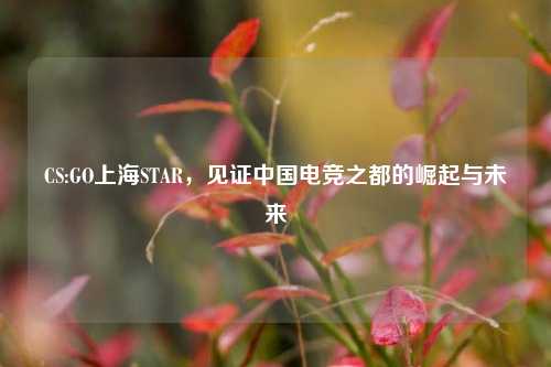CS:GO上海STAR,见证中国电竞之都的崛起与未来