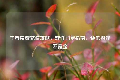 王者荣耀充值攻略,理性消费指南,快乐游戏不氪金
