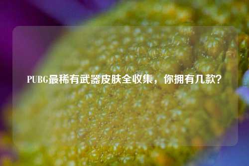 PUBG最稀有武器皮肤全收集,你拥有几款?
