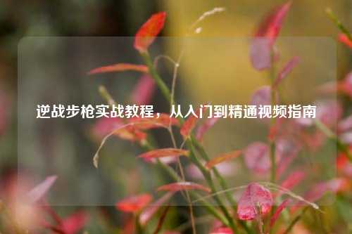 逆战步枪实战教程,从入门到精通视频指南