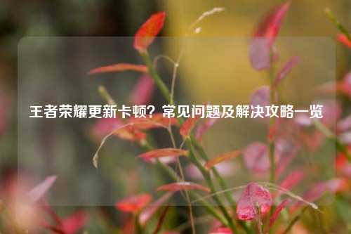 王者荣耀更新卡顿?常见问题及解决攻略一览