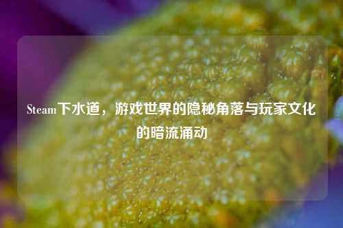 Steam下水道,游戏世界的隐秘角落与玩家文化的暗流涌动