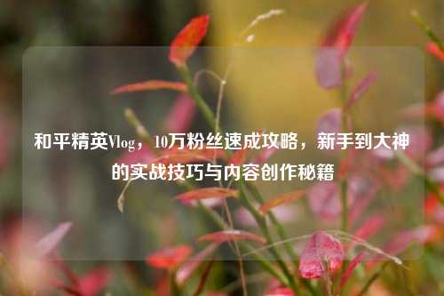 和平精英Vlog,10万粉丝速成攻略,新手到大神的实战技巧与内容创作秘籍