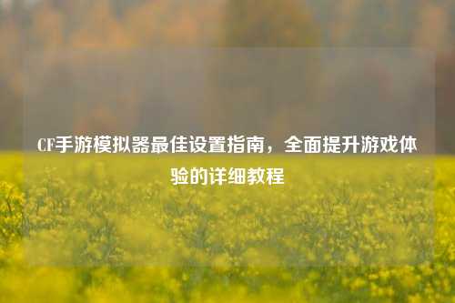CF手游模拟器最佳设置指南,全面提升游戏体验的详细教程
