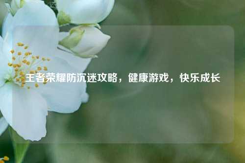 王者荣耀防沉迷攻略,健康游戏,快乐成长