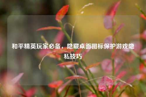 和平精英玩家必备,隐藏桌面图标保护游戏隐私技巧