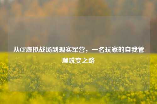 从CF虚拟战场到现实军营,一名玩家的自我管理蜕变之路