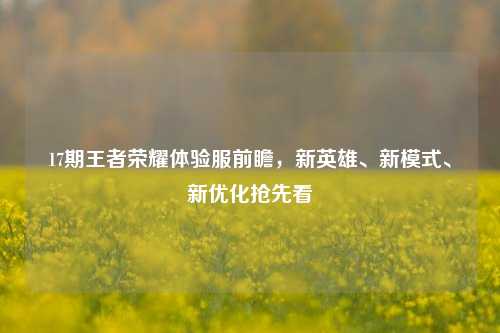 17期王者荣耀体验服前瞻,新英雄、新模式、新优化抢先看